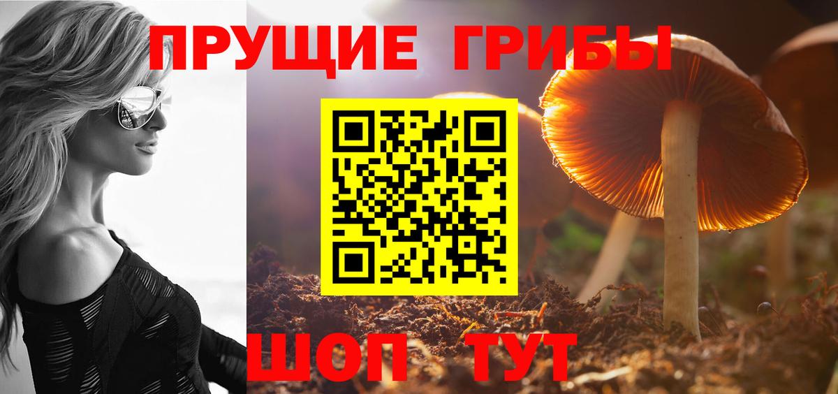 хочу   Псилоцибиновые грибы Psilocybine cubensis  Вход с VPN  Среднеуральск 